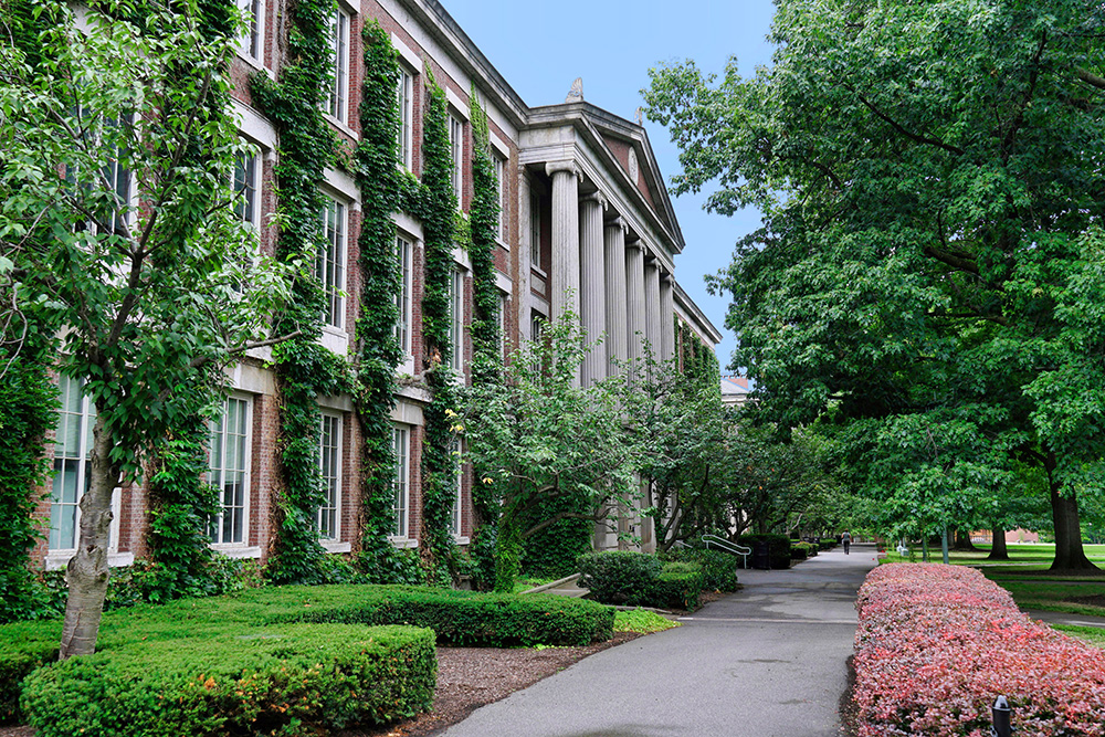 A brick building with ivy growing on the exterior